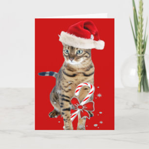 Bengal Santa gåvor Helgkort