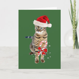 Bengal Santa gåvor Helgkort