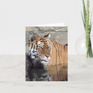 Bengal Tiger Blank Lodrät Note Card Kort