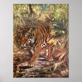 Bengal Tiger by CE Svan, Vintage Vild Animal Poster