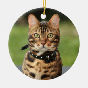 Bengal Tiger Cat Julgransprydnad Keramik