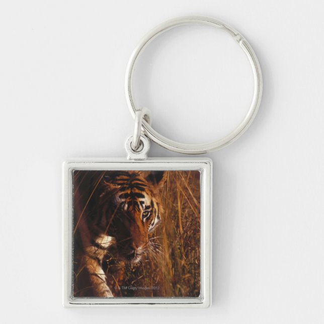 Bengal tiger fyrkantig silverfärgad nyckelring (Framsidan)