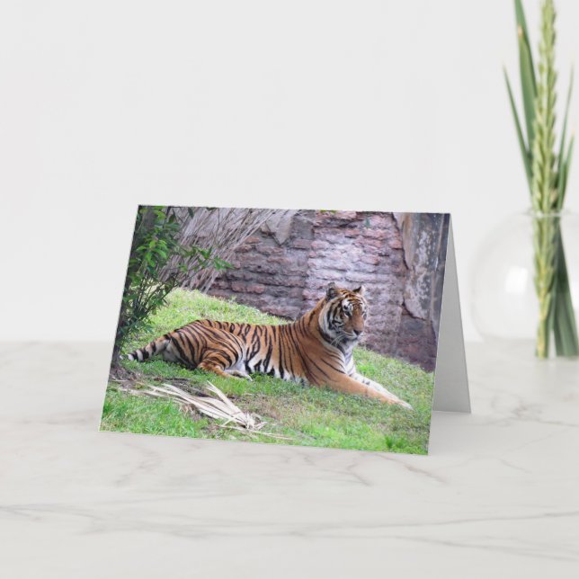 Bengal Tiger Greeting Card (9601) Kort (Framsida)