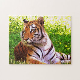 Bengal Tiger i Grass Puzzle Pussel
