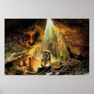 Bengal Tiger i grottan Poster