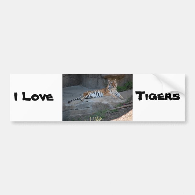 Bengal Tiger Kärlek Bildekal (Framsidan)