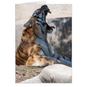 Bengal Tiger Kärlek Hälsningskort