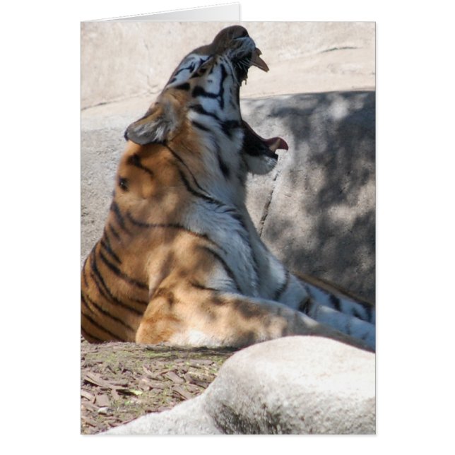 Bengal Tiger Kärlek Hälsningskort (Framsidan)