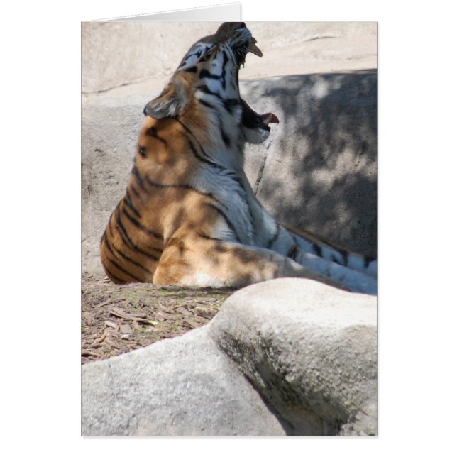 Bengal Tiger Kärlek Hälsningskort (Framsidan)