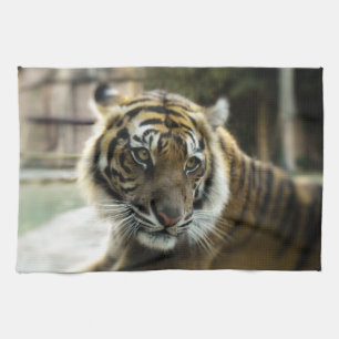 Bengal Tiger Kökshandduk