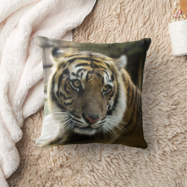 Bengal Tiger Kudde (Filt)