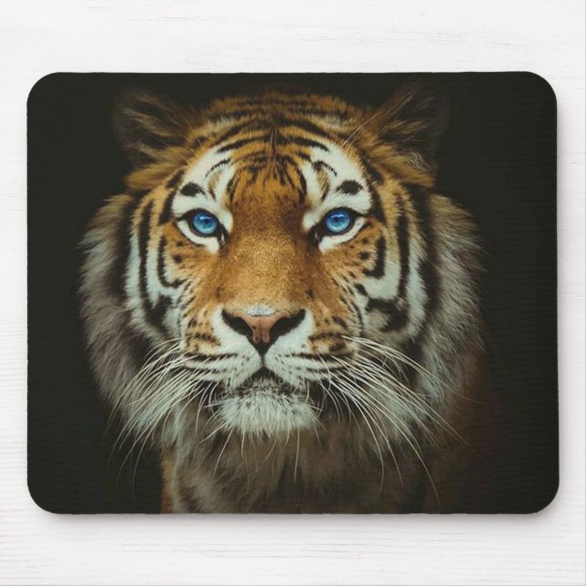 Bengal Tiger Musmatta (Framsidan)