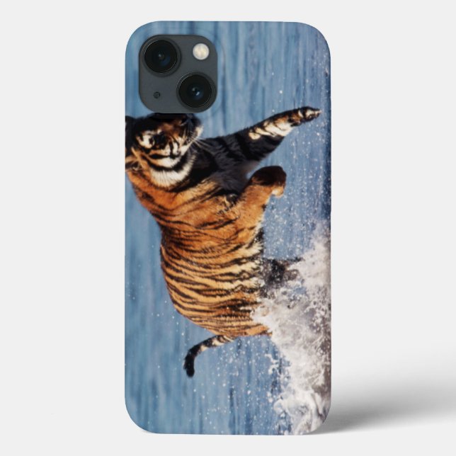 Bengal tiger (pantheraen Tigris) (Baksida)