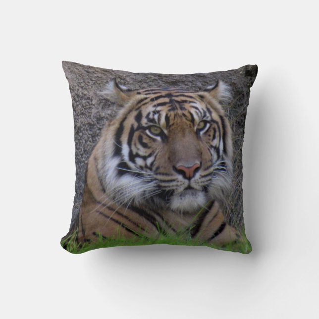 Bengal Tiger Pillow (4765) Kudde (Framsida)