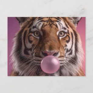Bengal Tiger Porträtt som blåser rosa bubbelgum Vykort