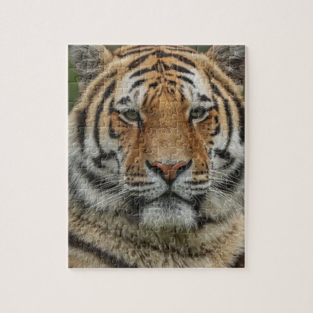 BENGAL TIGER PUSSEL (Vertikal)