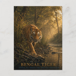 Bengal Tiger Sal Skog DJUR Vykort