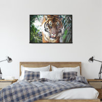 Bengal Tiger som tittar på dig Wrapped 2