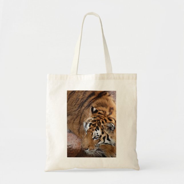 Bengal Tiger Tygkasse (Framsidan)