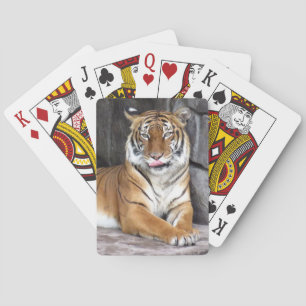 Bengal Tiger - Uppspelningskort för cyklar Casinokort