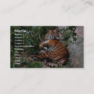 Bengal tiger visitkort