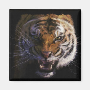 Bengal Tiger Wildlife Big Cat Älskare Photo Magnet