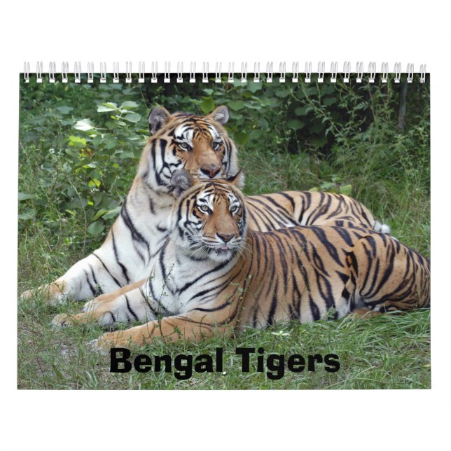 Bengal tigerkalender, Bengal tigrar Kalender (Omslag)