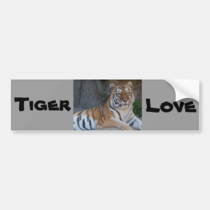 Bengal Tigers Bildekal