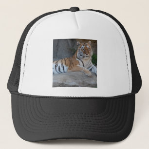 Bengal Tigers Keps