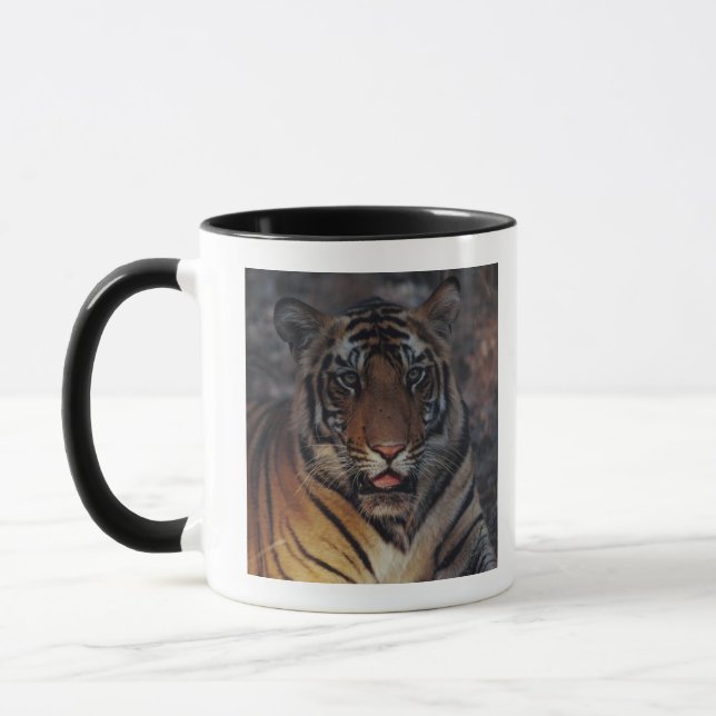 Bengal tigerunge mugg (Vänster)