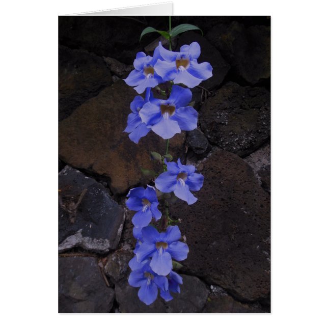 Bengal Trumpet Vine Hälsningskort (Framsidan)