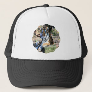 Bengalisk tiger i solbelyst äng truckerkeps