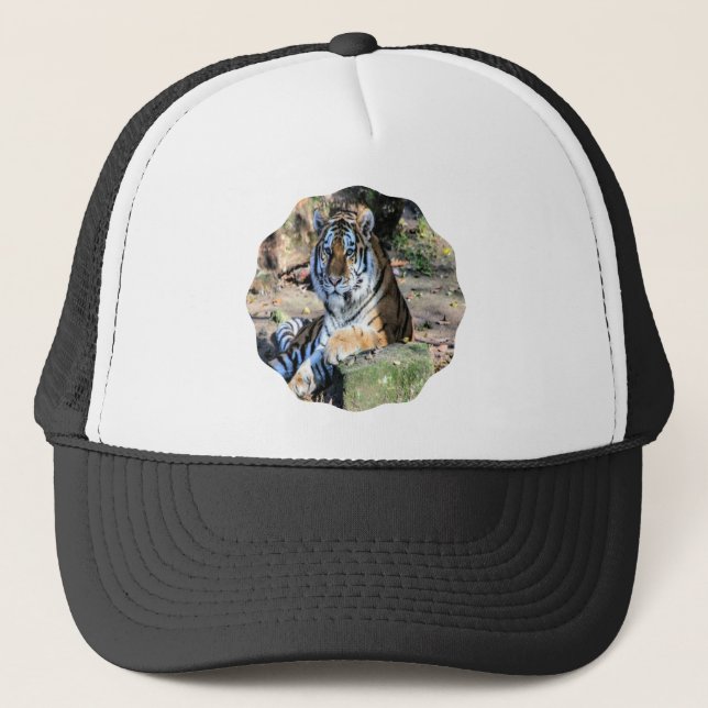 Bengalisk tiger i solbelyst äng truckerkeps (Framsida)
