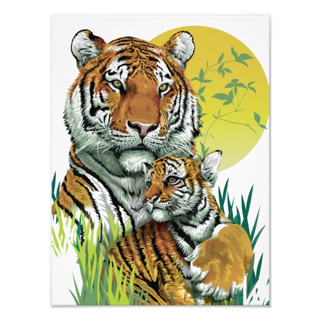 Bengalisk tiger med unge fototryck (Framsidan)