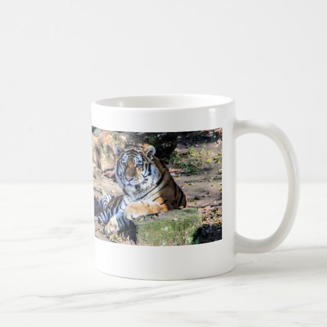 Bengalisk tiger på mossig skogssten kaffemugg (Höger)