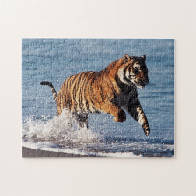 Bengalisk tiger (Panthera Tigris) Pussel (Horisontell)