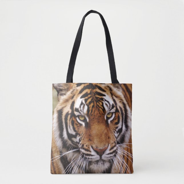 Bengalisk tiger, Panthera tigris Tygkasse (Framsida)