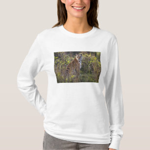 Bengalisk tigerhona i högt gräs, försöker jaga, tee shirt