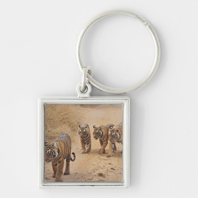 Bengaliska tigrar fyrkantig silverfärgad nyckelring (Framsidan)