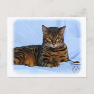 Bengalkatt 9W052D-023 Vykort