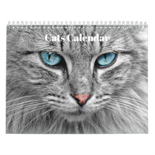 Bengalkatter 2023 kalender