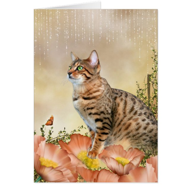 Bengals Rainy Day Hälsningskort (Framsidan)