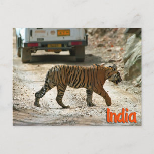 Bengaltiger Vykort