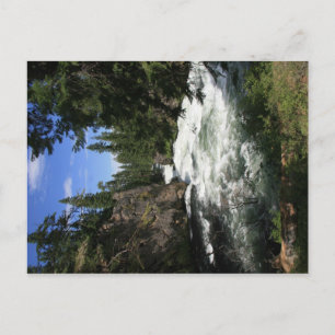 Benham Falls Vykort