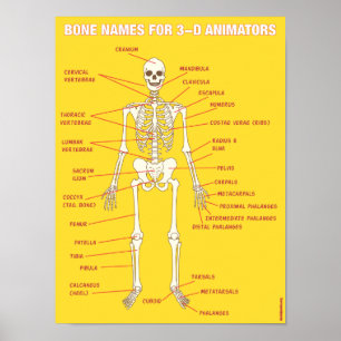 Bennamn för 3-D tecknare Poster