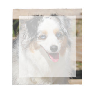 Bennett - Aussie Mini - Rosie - Carmel Beach Anteckningsblock