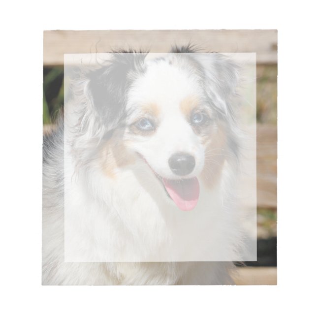 Bennett - Aussie Mini - Rosie - Carmel Beach Anteckningsblock (Framsida)