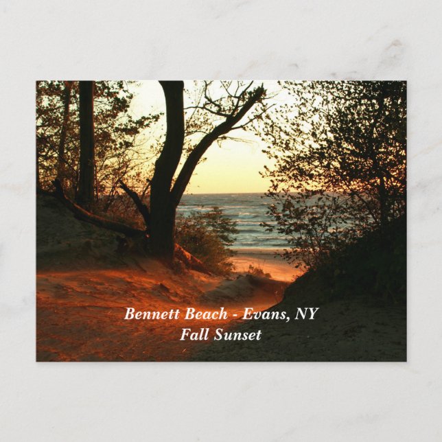 Bennett Beach - Evans, NY Vykort (Framsida)