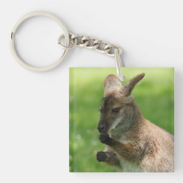 Bennetts Wallaby (Framsidan)