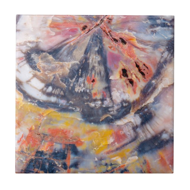 Benrifierad trädetalj, Arizona Kakelplatta (Framsidan)